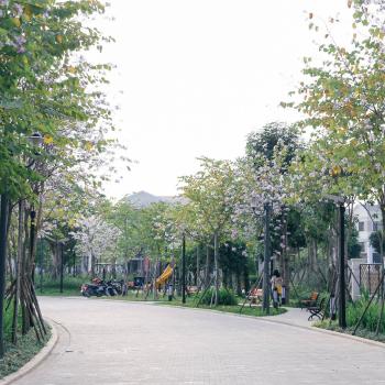ESG – Đóng vai trò quan trọng như thế nào trong các quyết định đầu tư và phát triển bất động sản ?