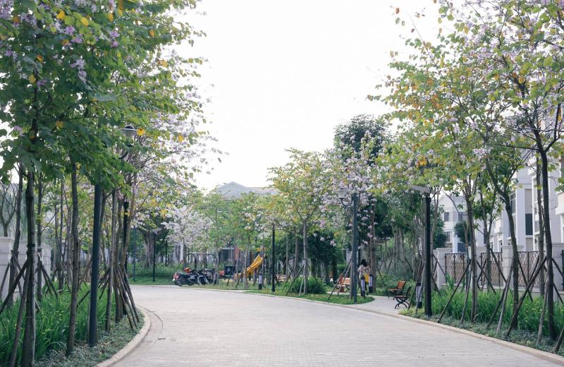 ESG – Đóng vai trò quan trọng như thế nào trong các quyết định đầu tư và phát triển bất động sản ?