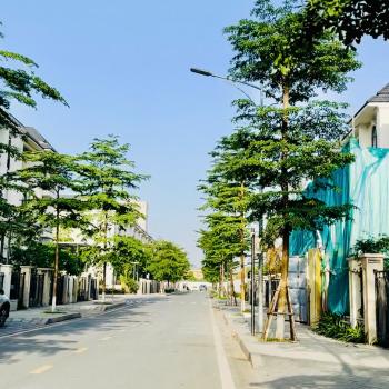 "Chill" Cùng Starlake Buổi Chiều