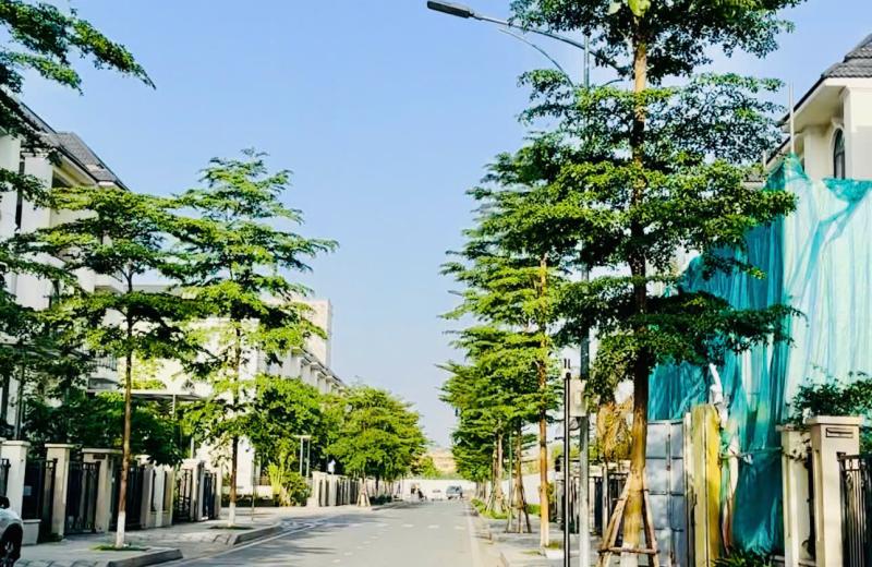 "Chill" Cùng Starlake Buổi Chiều