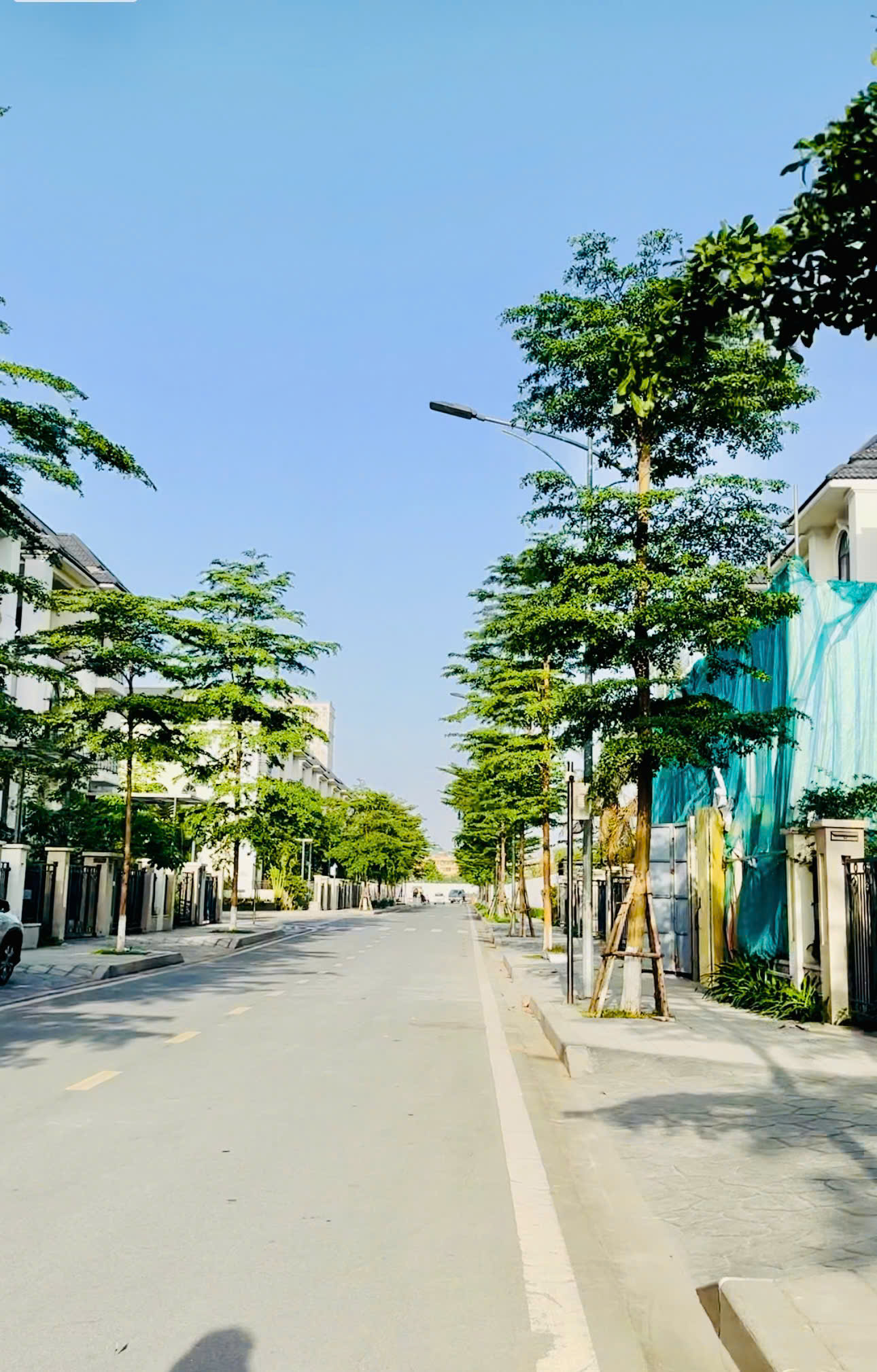 "Chill" Cùng Starlake Buổi Chiều